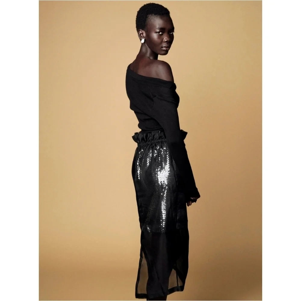 J.Crew Collection Layered Silk Organza Sequin Skirt - Picture 2 of 12
